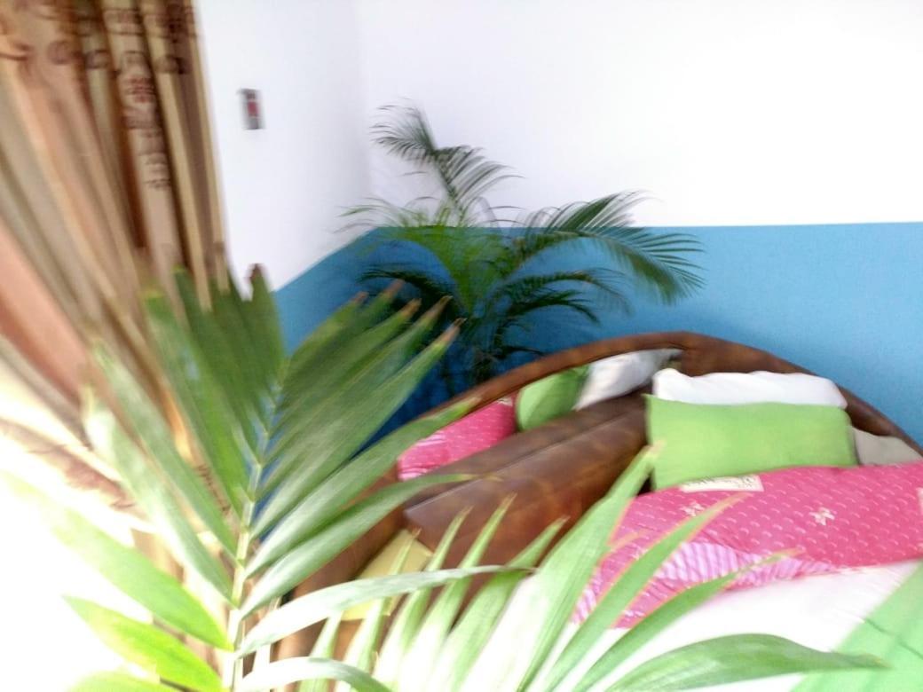 Elizz Guest House Janman Exterior photo